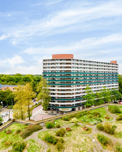 Loenermark 524 (1025 TV) Amsterdam